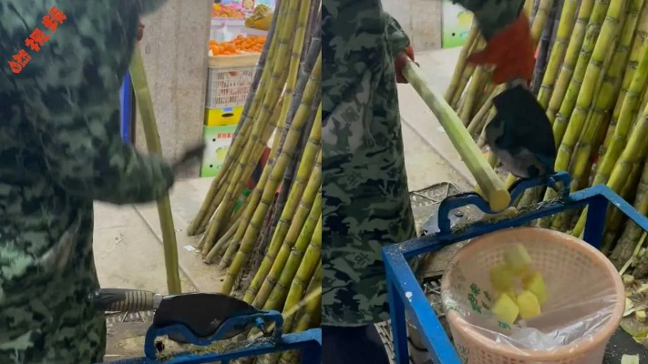 9.9元惊爆价抢购甘蔗！老板忙不停，NPC升级引热潮