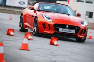 捷豹跑车在游戏里到底藏着多少未被挖掘的操控密码?老玩家用300小时实战解密 捷豹跑车在游戏里到底藏着多少未被挖掘的操控密码?老玩家用300小时实战解密