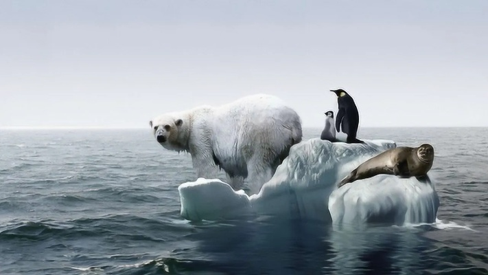 地球小冰河期误判,气温升势不减,揭秘全球变暖真相 地球小冰河期误判,气温升势不减,揭秘全球变暖真相