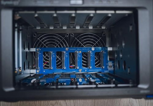 熊猫酒仙服务器,有没有工作室？