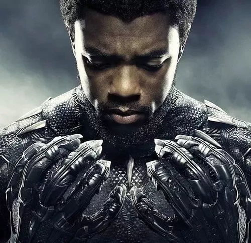 好莱坞星光大道新添荣耀:查德维克·博斯曼“黑豹”精神永存 好莱坞星光大道新添荣耀:查德维克·博斯曼“黑豹”精神永存