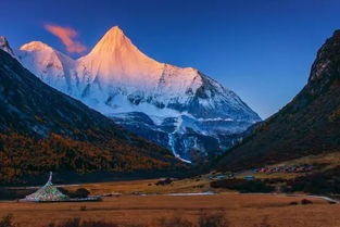 雪山巅峰背心行者，6000米海拔邂逅雪莲奇珍