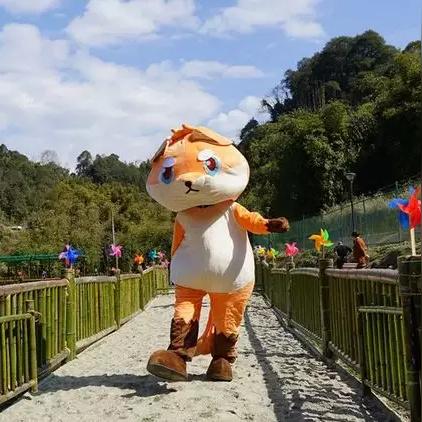 丛林之狐2攻略,新手入门有哪些技巧