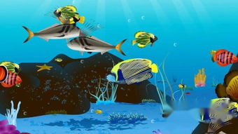 大鱼吃小鱼2中文版:精美的画面,逼真的环境,带你感受海底世界! 大鱼吃小鱼2中文版:精美的画面,逼真的环境,带你感受海底世界!