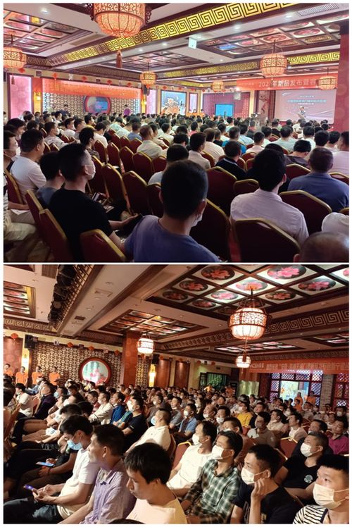 《inZOI》总统定制版：多人盛宴，共创辉煌