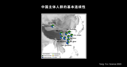 帕南的隐藏互动你漏了多少？10个影响结局的关键选择全解析