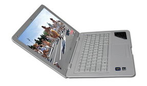 《诺曼荣光》欧美首曝！2月20日NS/PS5/PC同步绽放新篇章