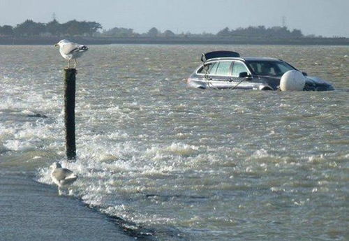 无尽狂潮总被潮水淹没?老玩家拆解动态潮汐逻辑,教你用1套循环流站到最后 无尽狂潮总被潮水淹没?老玩家拆解动态潮汐逻辑,教你用1套循环流站到最后