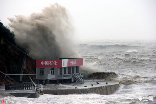 无尽狂潮总被潮水淹没?老玩家拆解动态潮汐逻辑,教你用1套循环流站到最后 无尽狂潮总被潮水淹没?老玩家拆解动态潮汐逻辑,教你用1套循环流站到最后