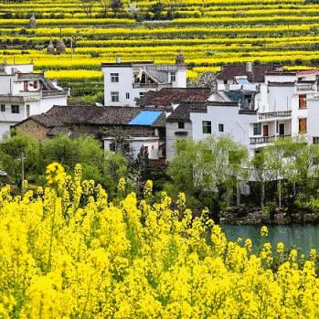 三国游戏排行榜前十名水有多深？我玩遍热门款后，只留这几个能打