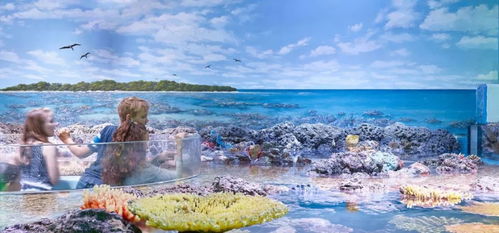 梦幻珊瑚海,每个人心中都有一个关于大海的故事