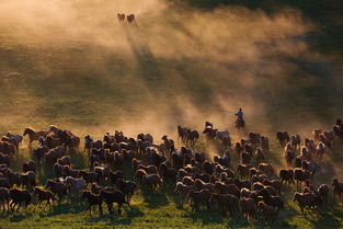 北望江山新纪元,北伐传奇再续篇 北望江山新纪元,北伐传奇再续篇