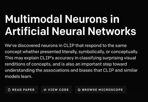 AI热议聚焦，《动物朋克》官方回应新视角