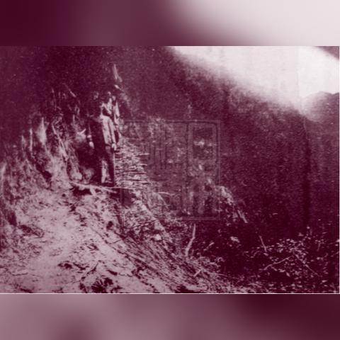 《战地6》免费试玩大揭秘,全新体验震撼来袭! 《战地6》免费试玩大揭秘,全新体验震撼来袭!