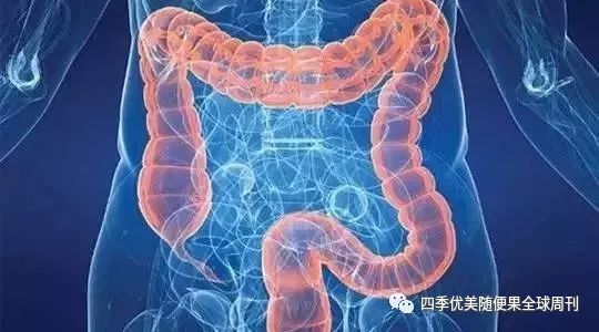 男子大肠阻塞，9公斤大便致亡，罕见病例揭示肠道健康危机