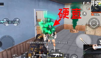 模拟人生2物品下载总踩坑？老玩家私藏的3个保命技巧+10G精品包实测