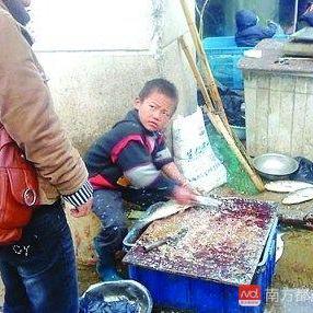 网红言论违规引关注，网络法治重拳出击拘留15天警示严