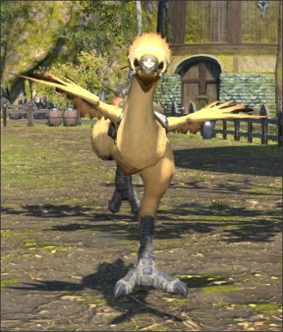 最终幻想14,陆行鸟任务承接地点全解析 最终幻想14,陆行鸟任务承接地点全解析