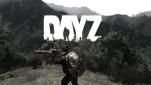 DayZ新手刚活3小时就暴毙?我用2025年生存密码帮你撑过72小时 DayZ新手刚活3小时就暴毙?我用2025年生存密码帮你撑过72小时