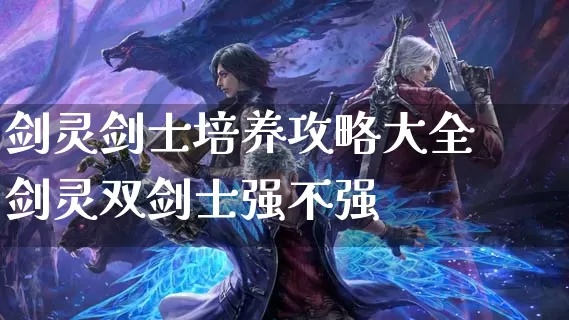 剑灵双剑士哪个系好,哪个系更适合肝帝玩家