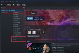 Dota2 进国服全攻略，从新手到畅玩的指南