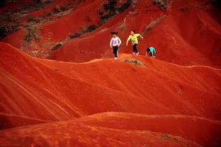 《红色沙漠》畅玩攻略:揭秘最低配置,轻松驾驭新体验 《红色沙漠》畅玩攻略:揭秘最低配置,轻松驾驭新体验