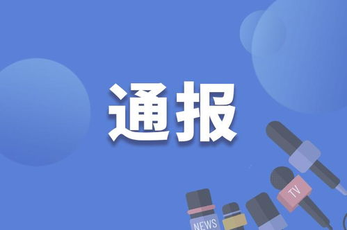 岳云鹏夫妇公司欠税14万引关注，税务公告待回应揭秘新动态