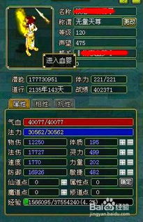 问道水系加点玩法大揭秘，让你的游戏体验超好玩