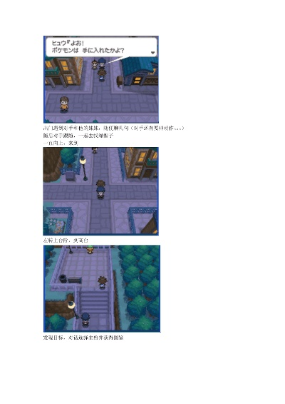 口袋妖怪黑 2一周目详细攻略