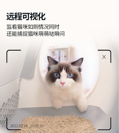 华为珞博AI宠物热销断货，智能撒娇互动新宠来袭