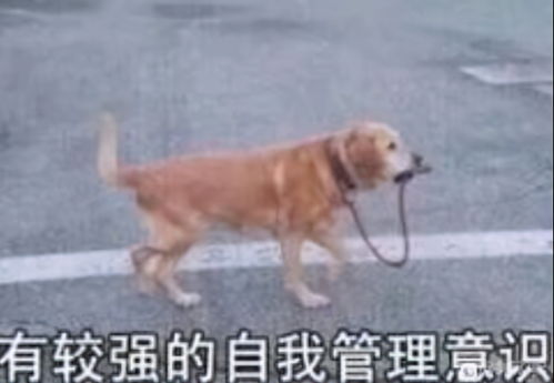 郭富城女友晒近照上热搜,为什么游戏玩家更懂「人设保鲜」的底层逻辑? 郭富城女友晒近照上热搜,为什么游戏玩家更懂「人设保鲜」的底层逻辑?