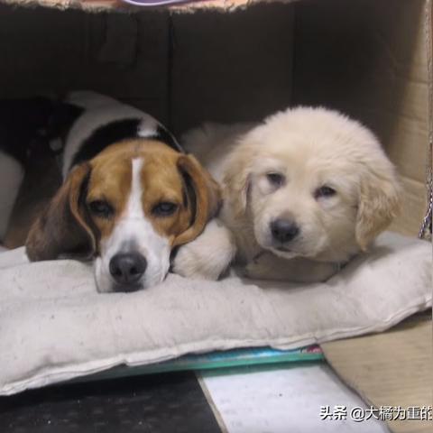 夫妻4万现金被风卷走，市民齐心捡回，见证人间真情！