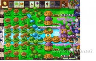 植物大战僵尸生存模式泳池无尽版攻略，新手必看！