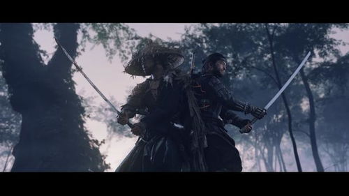 市场至上，剑心雕龙坚守创新之魂