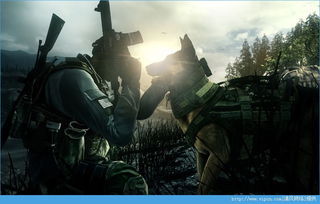 使命召唤10 3dm（到底值不值得玩）