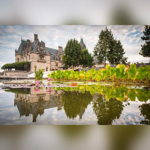 摩尔庄园钓鱼总空军?12个隐藏机制+3类必爆点,我用3天钓满全图鉴 摩尔庄园钓鱼总空军?12个隐藏机制+3类必爆点,我用3天钓满全图鉴