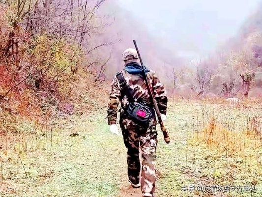 狩猎开始前90秒必须做完的7件事，老猎人从不外传的野区控场秘诀