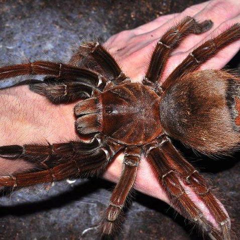 警惕300 元一次附近人背后的陷阱 警惕300 元一次附近人背后的陷阱