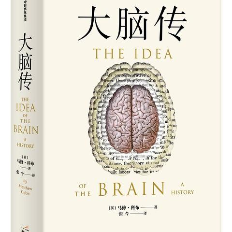 大脑衰老临界点揭秘：57岁、70岁、78岁三大年龄警示