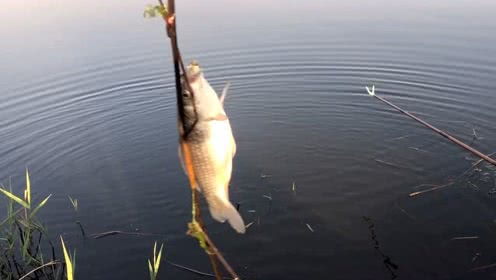 钓鱼奇才独钓千年宝，独缺凡间鱼儿乐