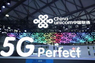 5G时代落幕，6G黑科技登场：超远基站，手机信号稳如老狗！