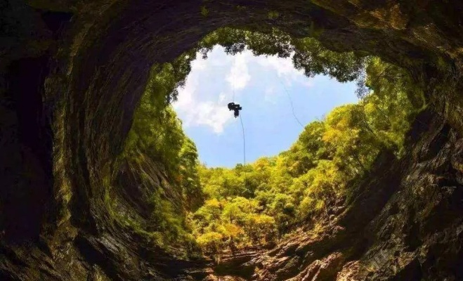 云南蒙自天坑挖出百年绝唱！消失物种重现，玩家居然早就在游戏里见过？