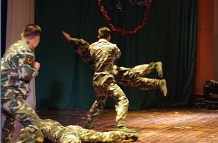 《猿公剑》三载辉煌庆,匠心团队再攀高峰 《猿公剑》三载辉煌庆,匠心团队再攀高峰