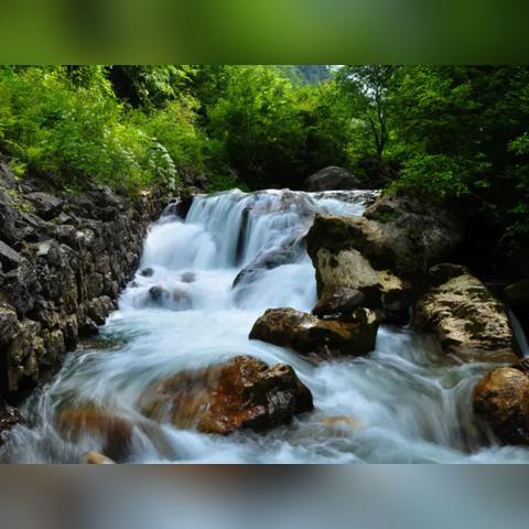 净化潭水任务攻略：轻松完成的方法与技巧