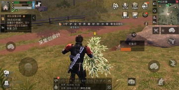 死亡岛视频里藏着多少没说透的生存真相?老玩家逐帧拆解的冷门细节全在这 死亡岛视频里藏着多少没说透的生存真相?老玩家逐帧拆解的冷门细节全在这