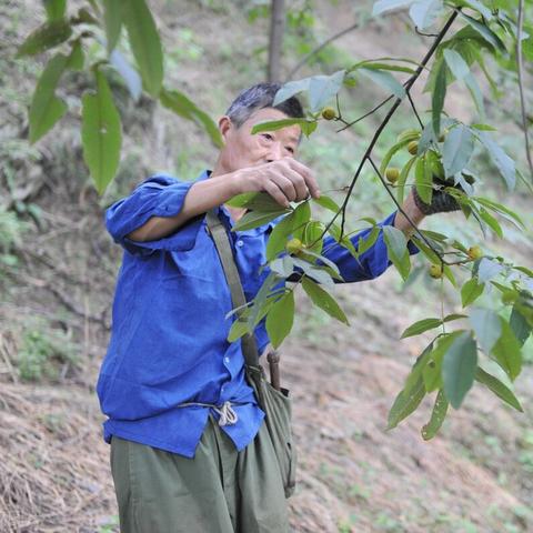 手机壳“爱马仕”热销36亿，单价700元，奢华新宠引爆市场