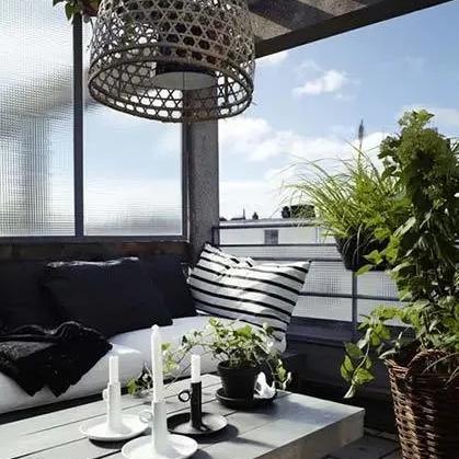 植物大战僵尸外挂真能一键通关？老玩家实测3款工具的隐藏坑