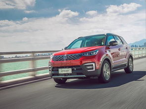 《长安秘境揭秘：诡事录播放23次登顶，豆瓣8.0分口碑爆棚》