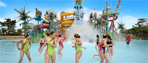 梦幻水世界，畅享全新《水上乐园模拟器》体验