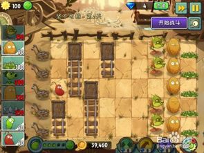 西部僵王总翻车？90%玩家没摸透的PVZ2狂野西部通关密码